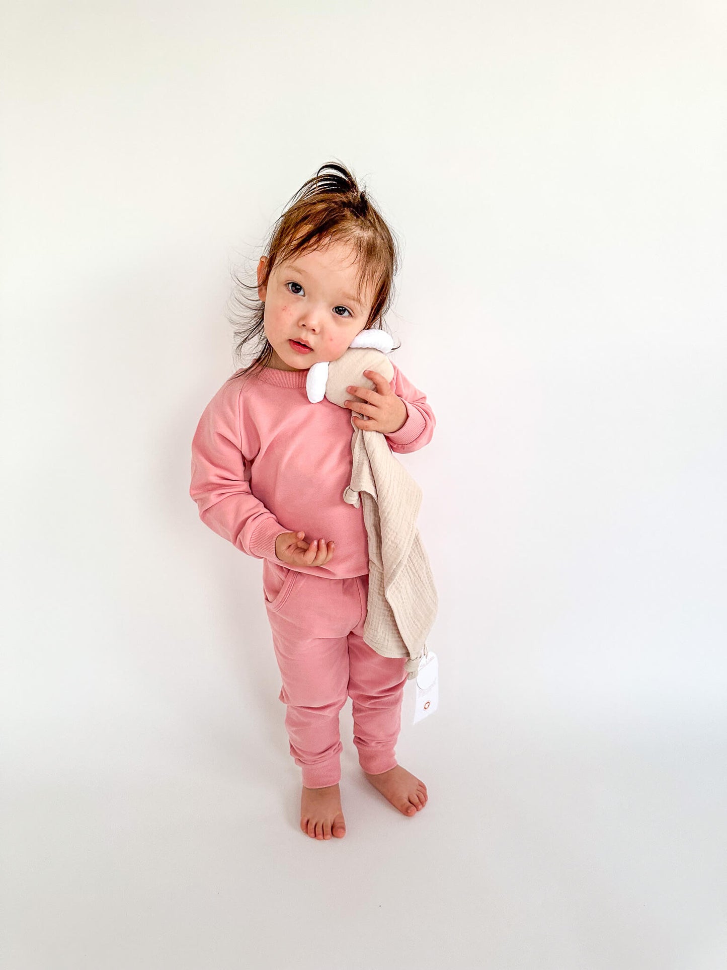 Organic Muslin Bestie Comforter | Koala - Milla + Saber